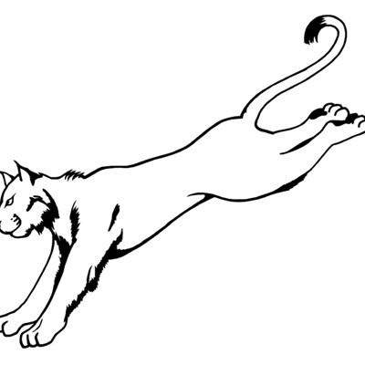 Cougar